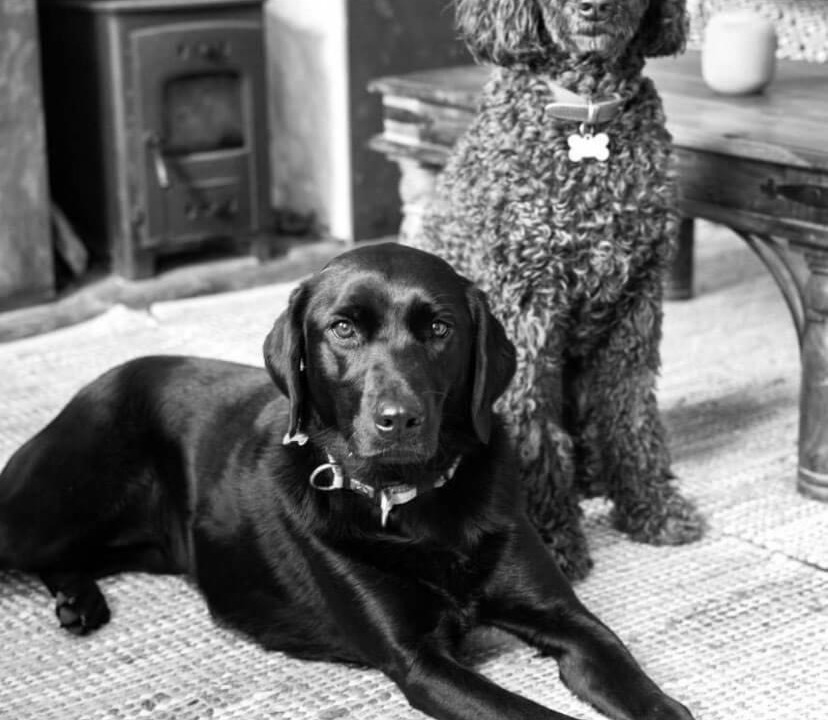 Photo of Others in Port Isaac