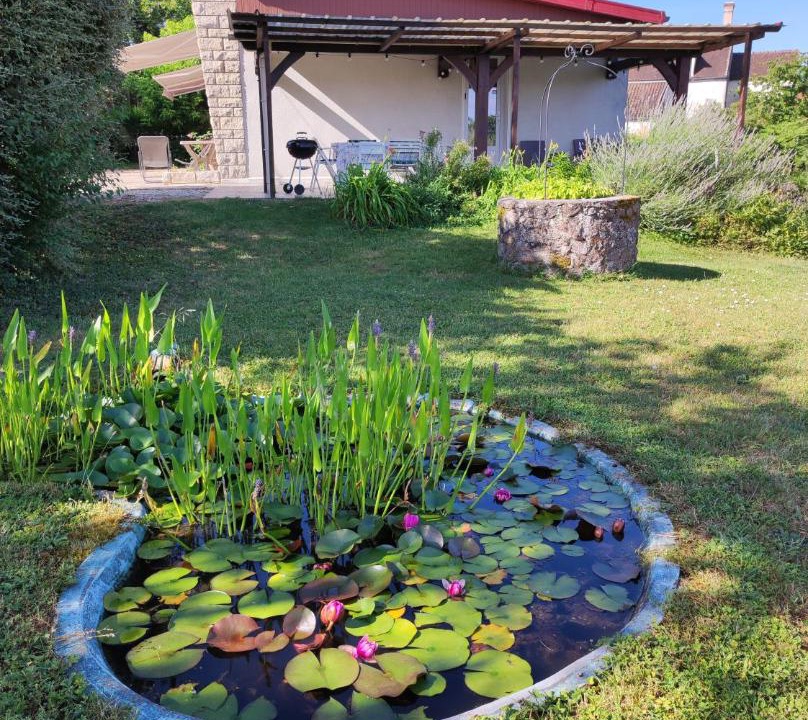 Photo of Others in Avallon