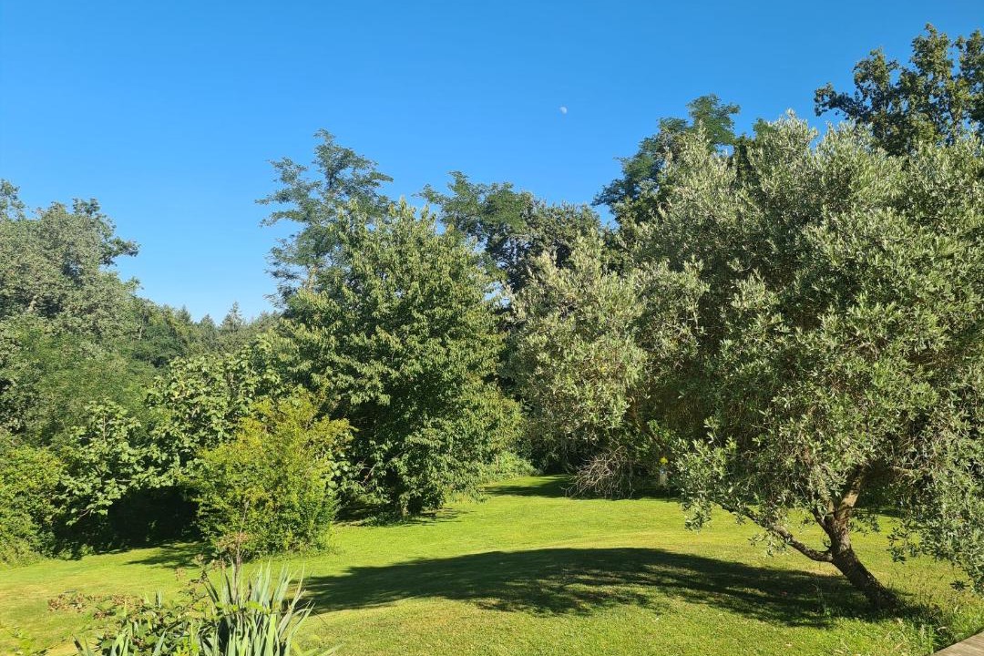 Photo of Others in Boulin