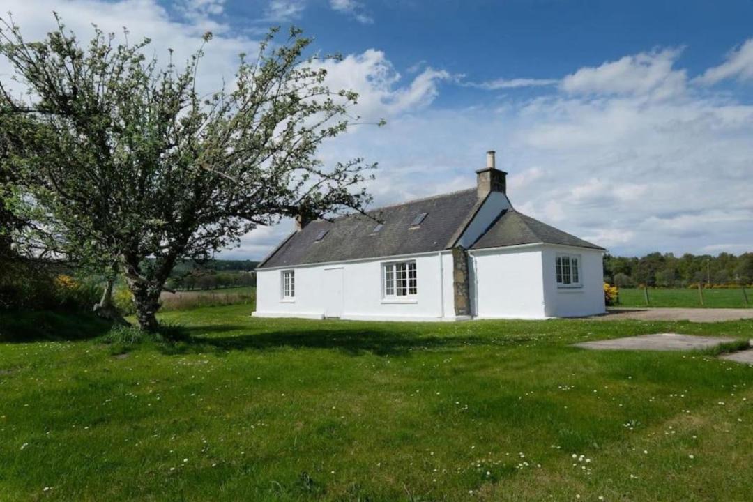 Photo of Others in Fochabers