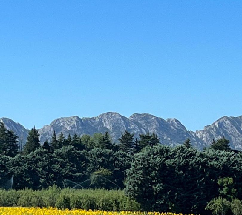 Photo of Others in Molleges