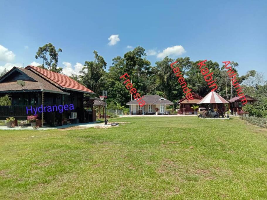 Photo of Buildings in Kampung Kuala Dal