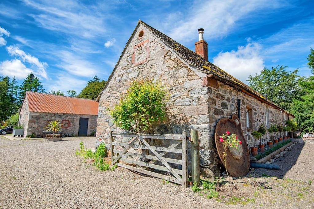 Photo of Others in Kirriemuir