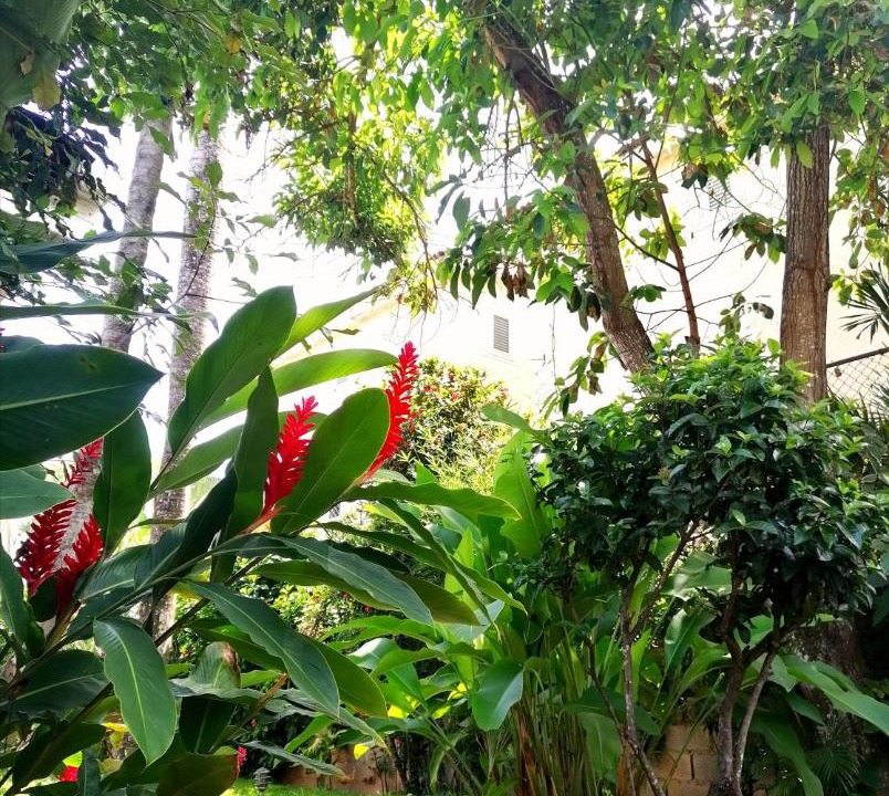 Photo of Others in La Iglesia