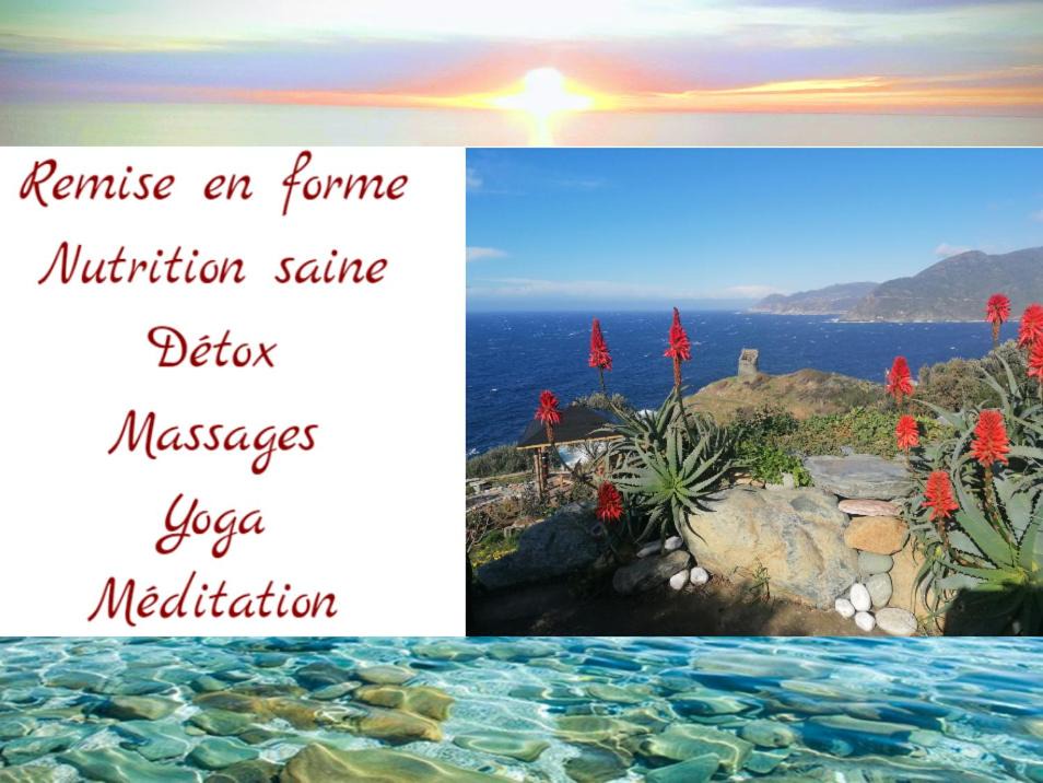 Photo of Others in Pino