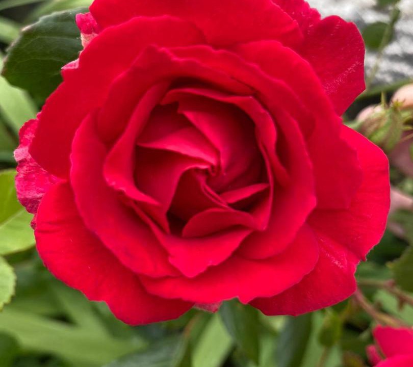 Photo of Others in Pleumeur-Bodou