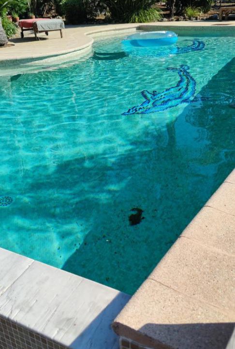 Photo of Outdoor in Biot