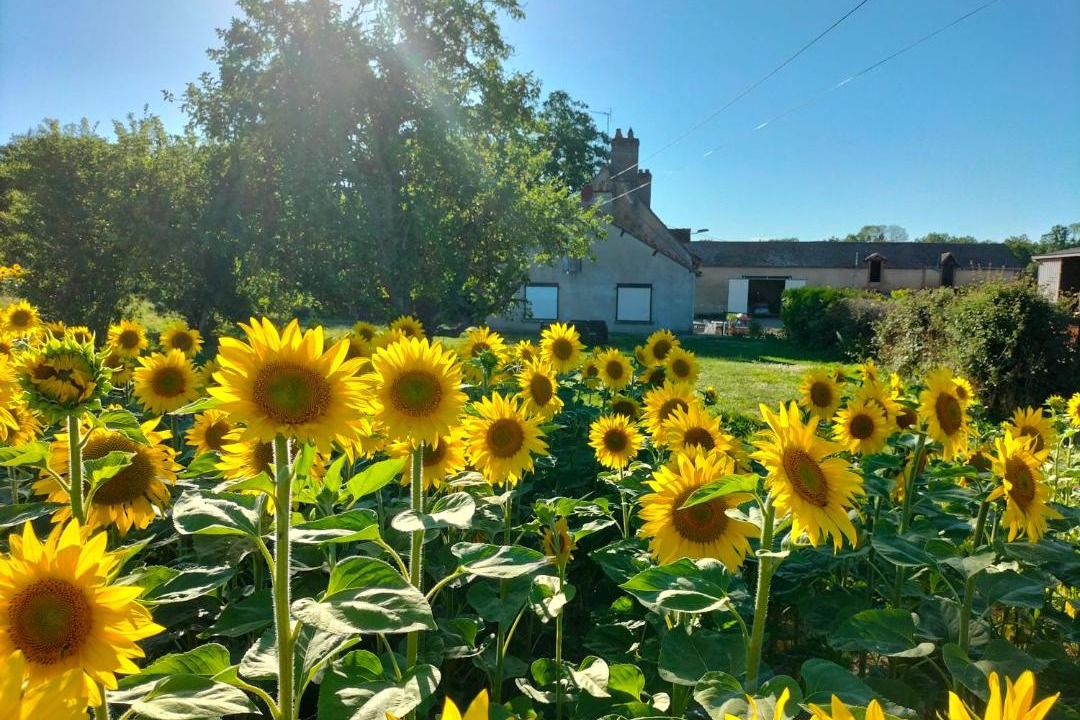 Photo of Outdoor in Feins-en-Gatinais