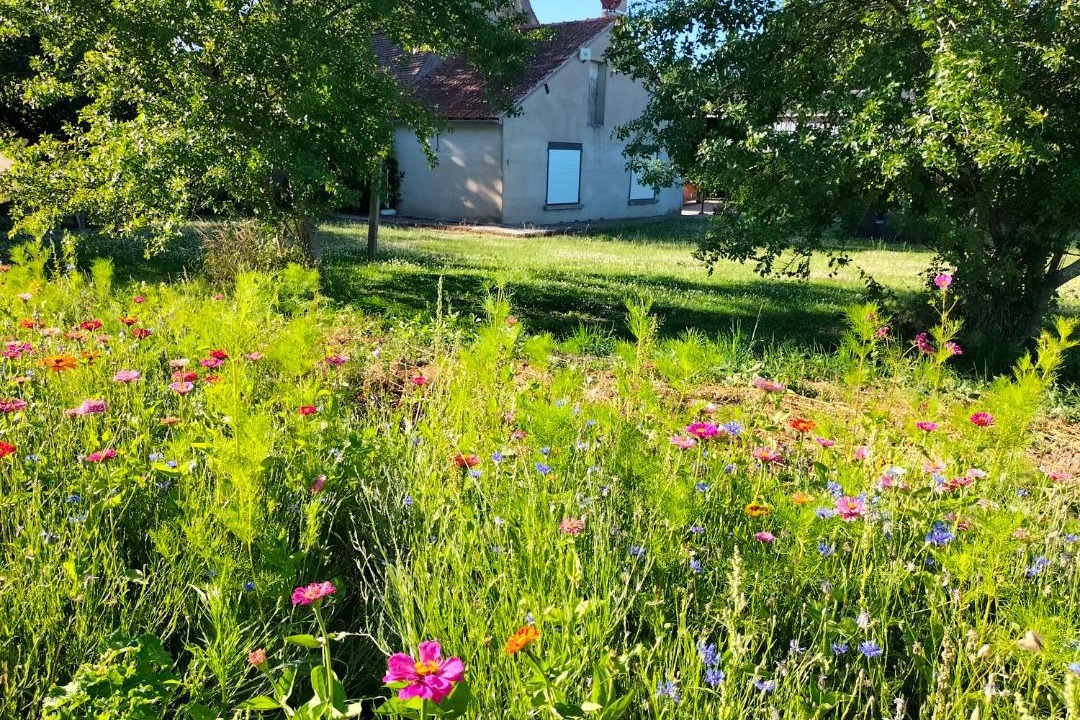 Photo of Others in Feins-en-Gatinais
