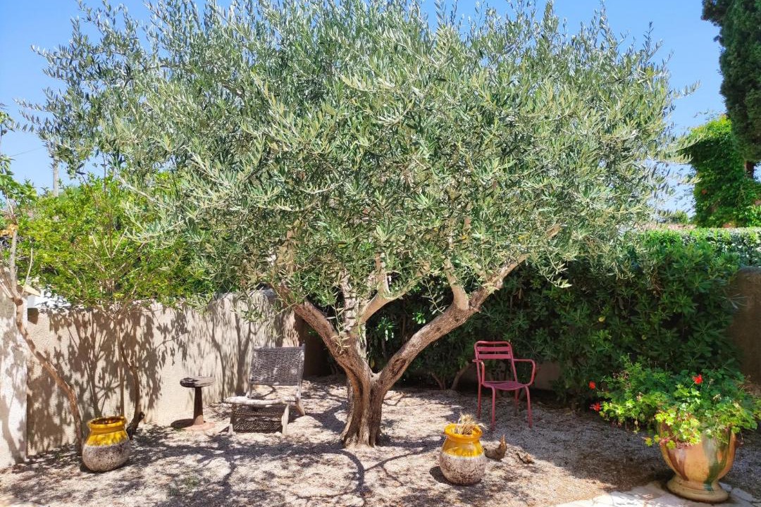 Photo of Others in Cote d'Azur- French Riviera