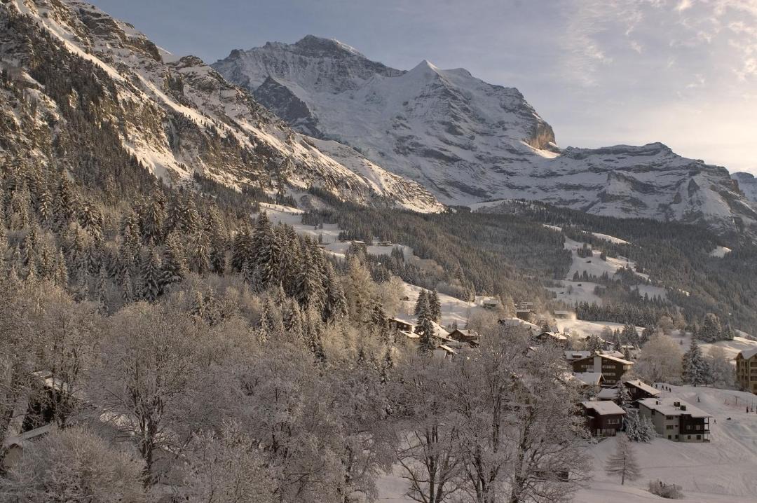 Photo of Others in Wengen