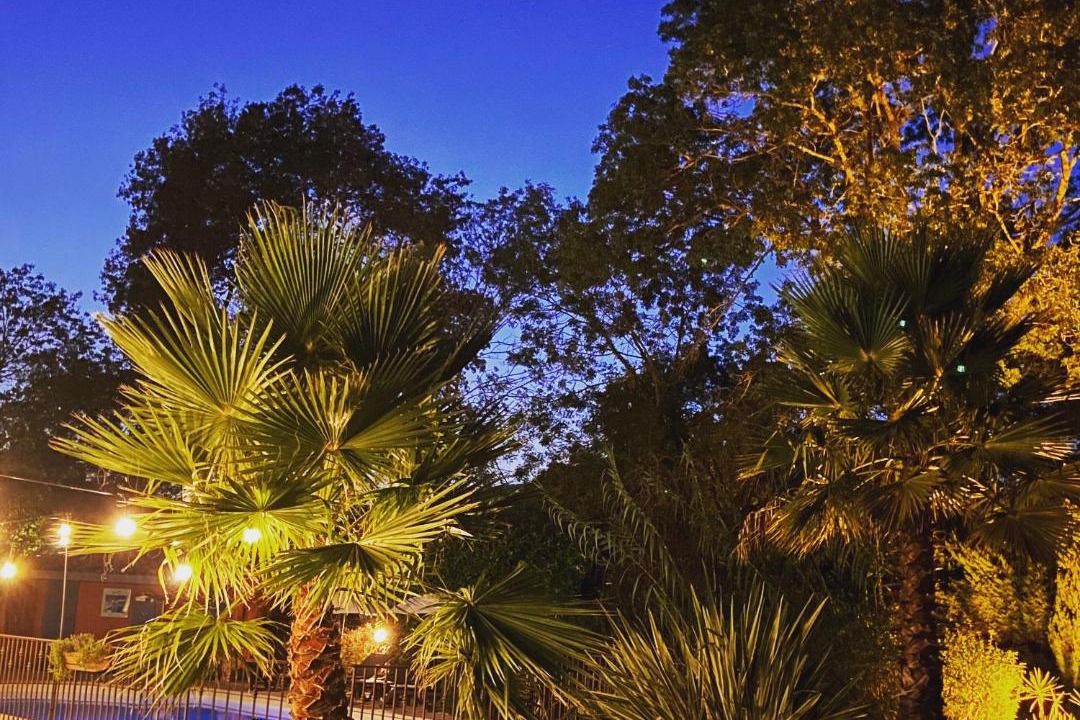 Photo of Others in Plascassier