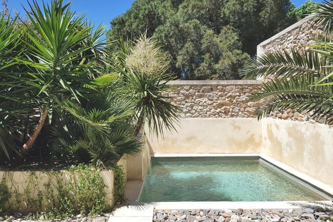 Photo of Others in Le Somail