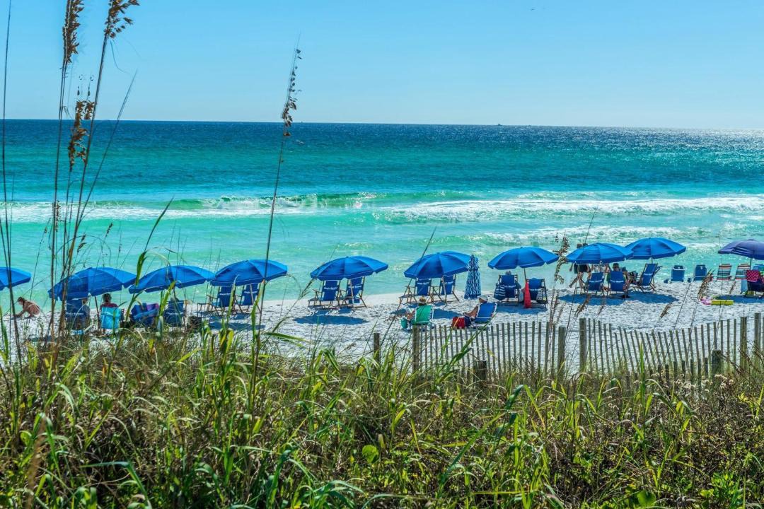 Photo of Others in Destin