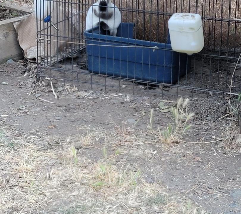 Photo of Others in Mariposa