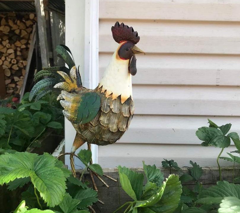 Photo of Others in Saint-Martin-de-la-Mer