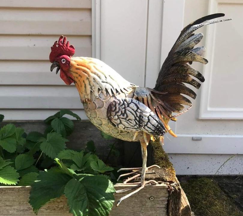 Photo of Others in Saint-Martin-de-la-Mer