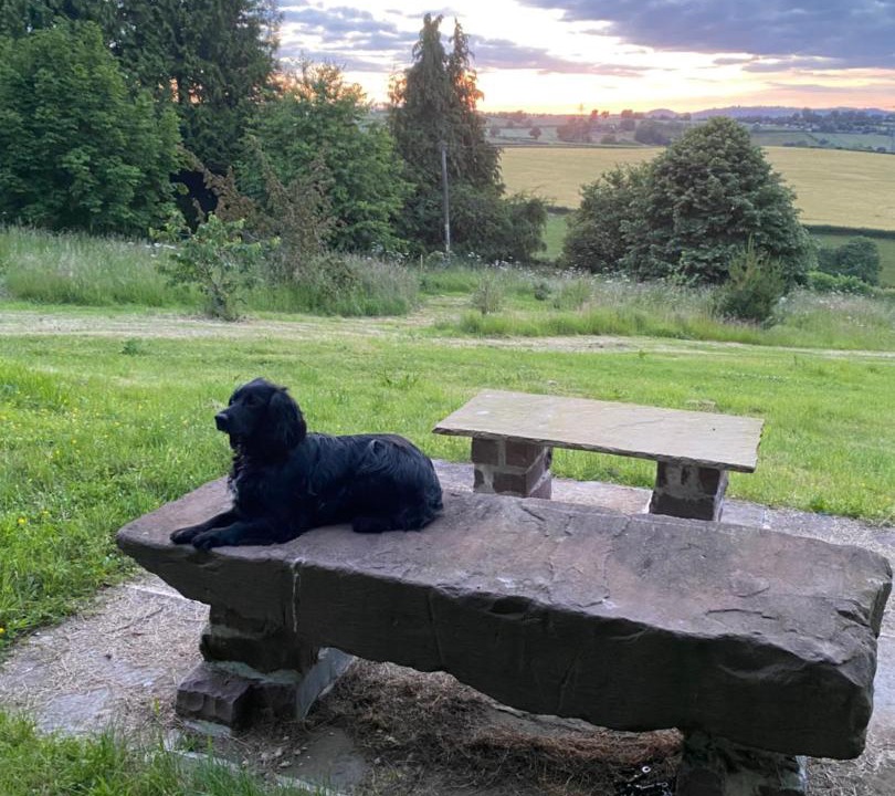 Photo of Others in Llangrove