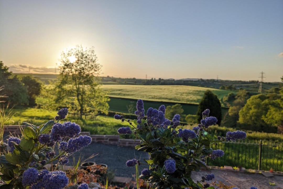 Photo of Others in Llangrove