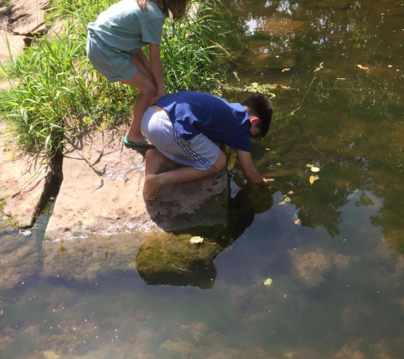 Photo of Others in Llangrove