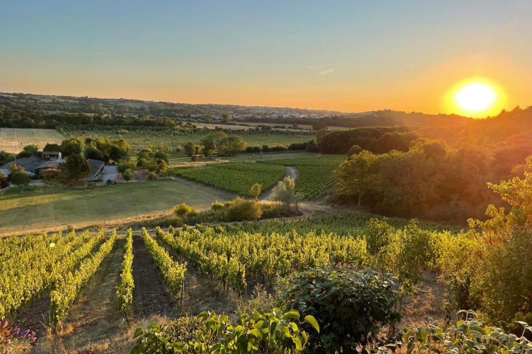 Photo of Others in Loire Layon Aubance
