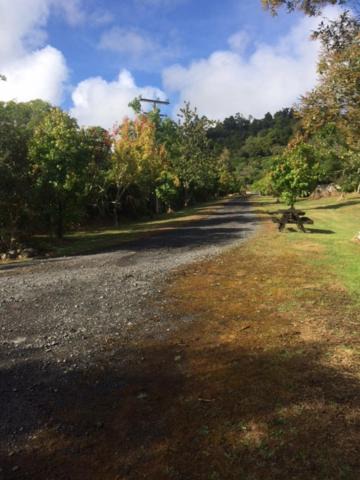 Photo of Outdoor in Raurimu
