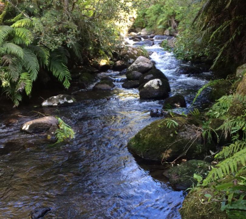Photo of Others in Raurimu