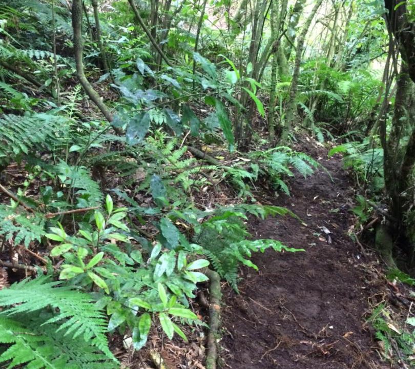 Photo of Others in Raurimu