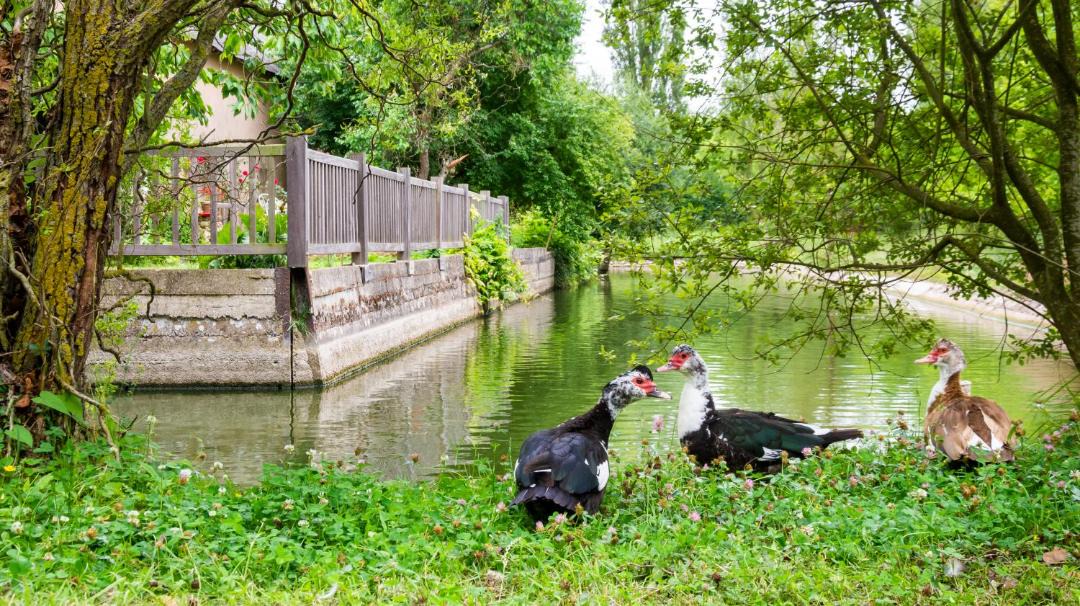 Photo of Others in Mezeray