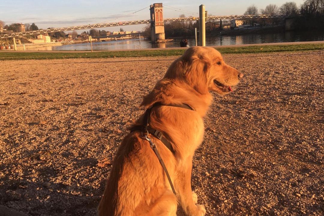 Photo of Others in Massieux