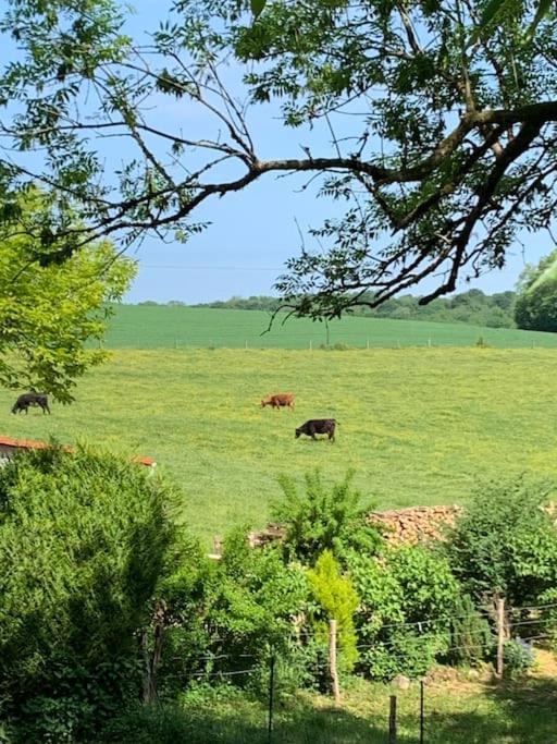 Photo of Others in Bulson