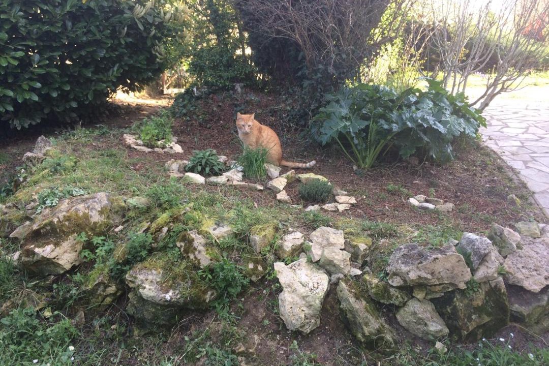 Photo of Outdoor in Vic-Fezensac