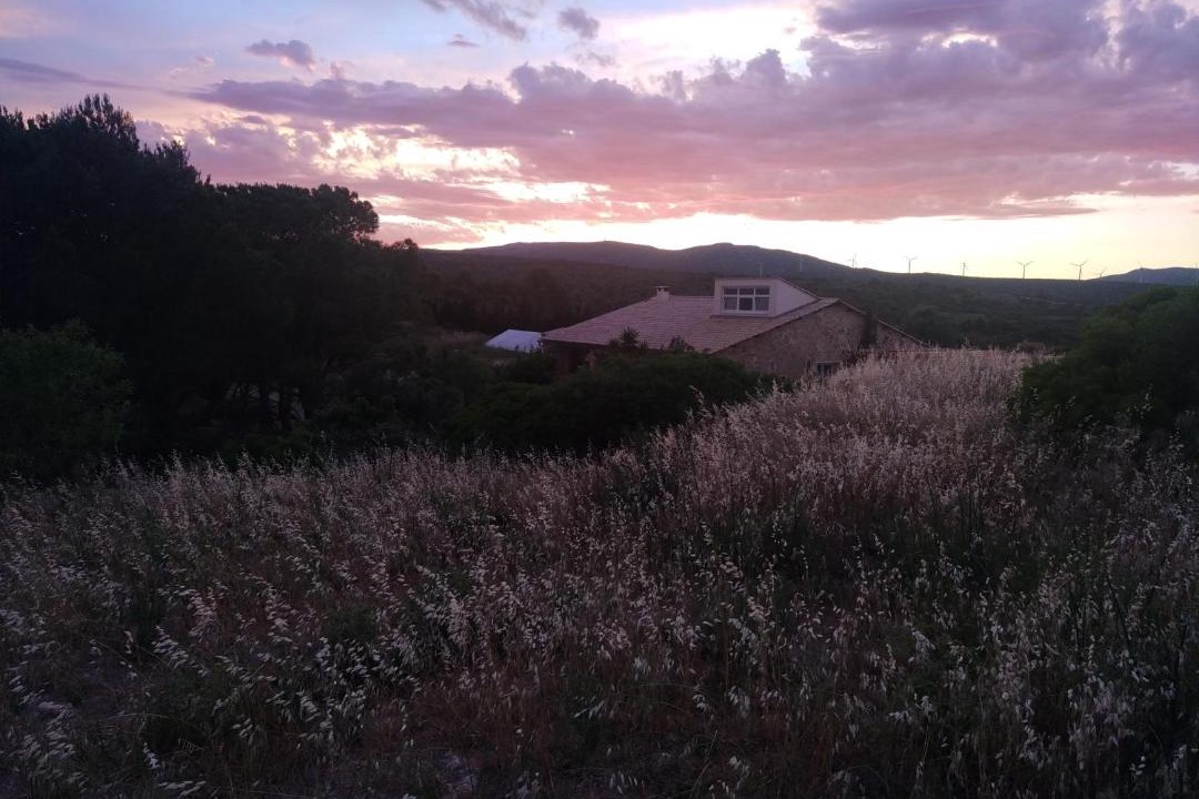 Photo of Others in Fitou