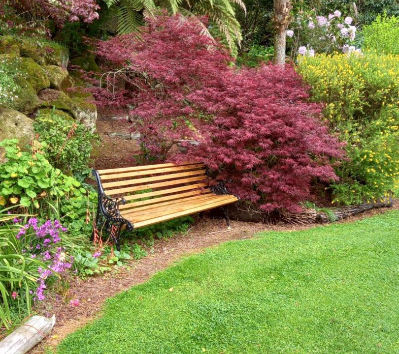 Photo of Others in Aria