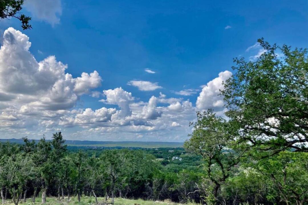 Photo of Others in Spring Branch