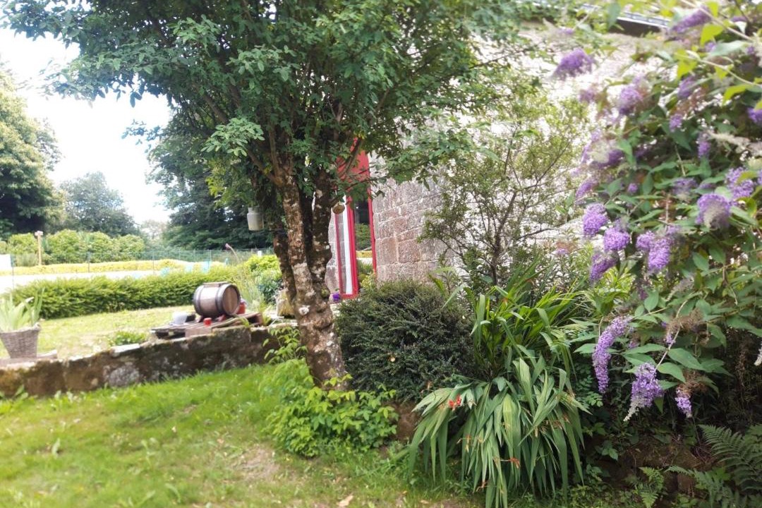 Photo of Others in Langoelan