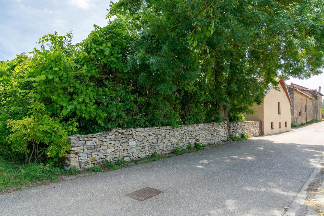 Photo of Others in Raville