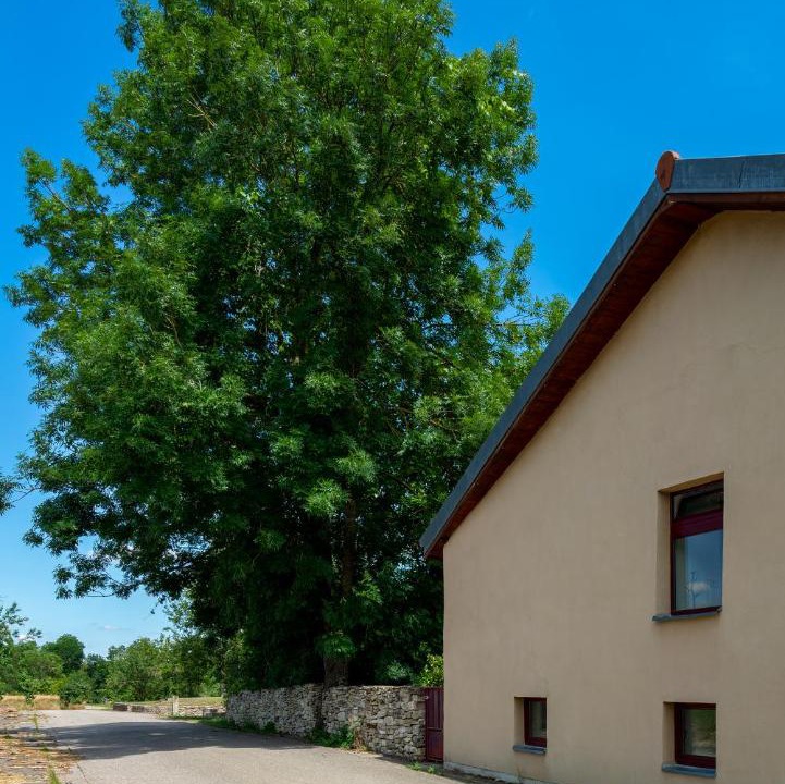 Photo of Others in Raville