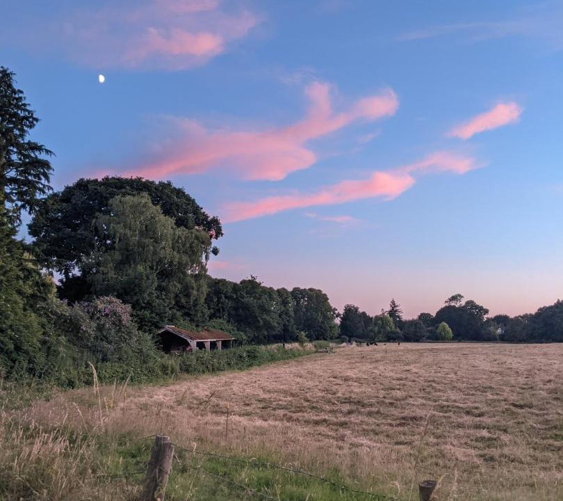 Photo of Others in Yeovil