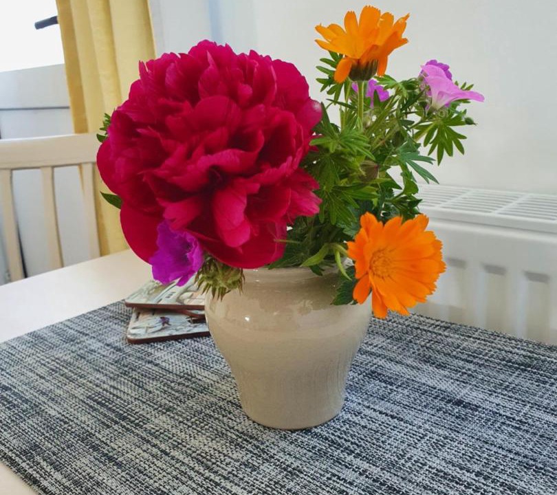 Photo of Others in Widemouth Bay