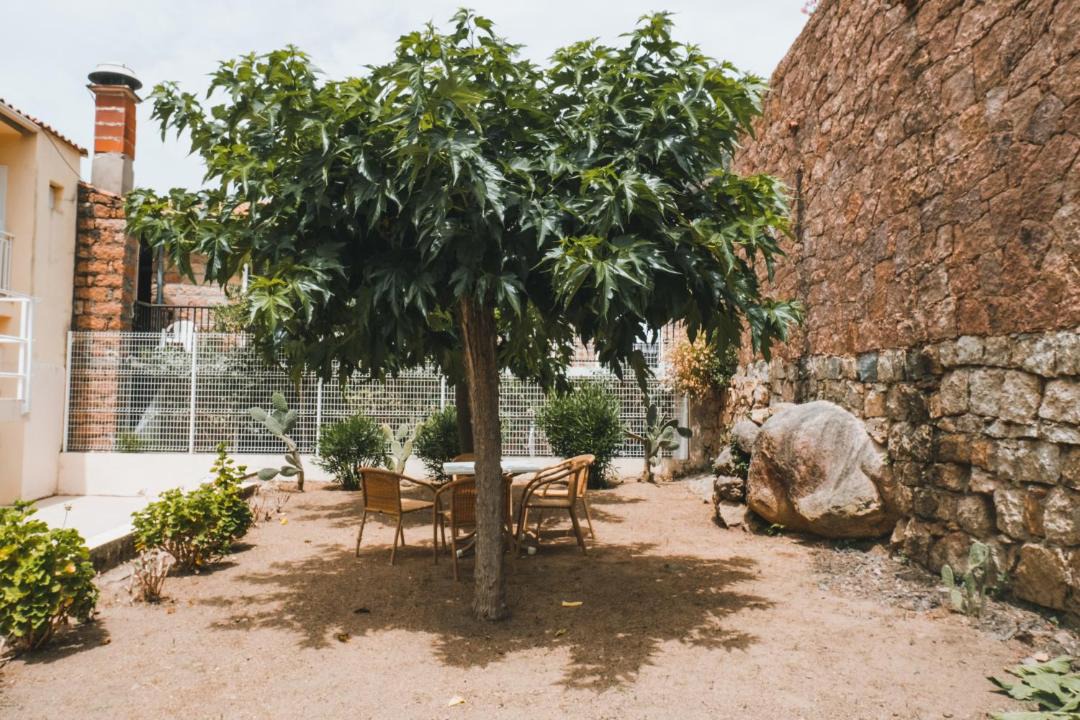 Photo of Others in Porto