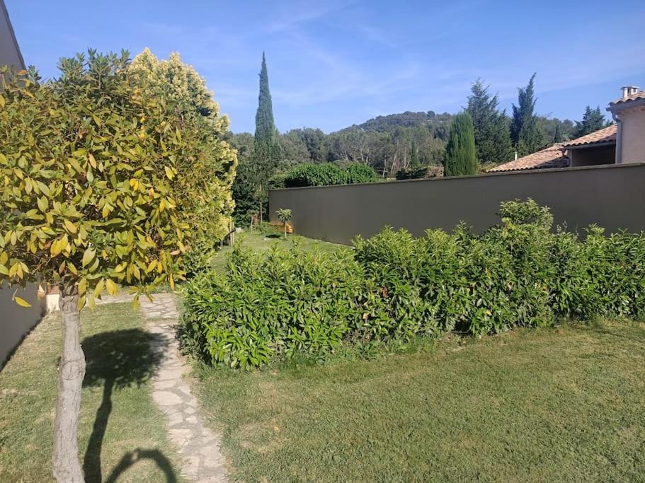 Photo of Others in Chateaurenard