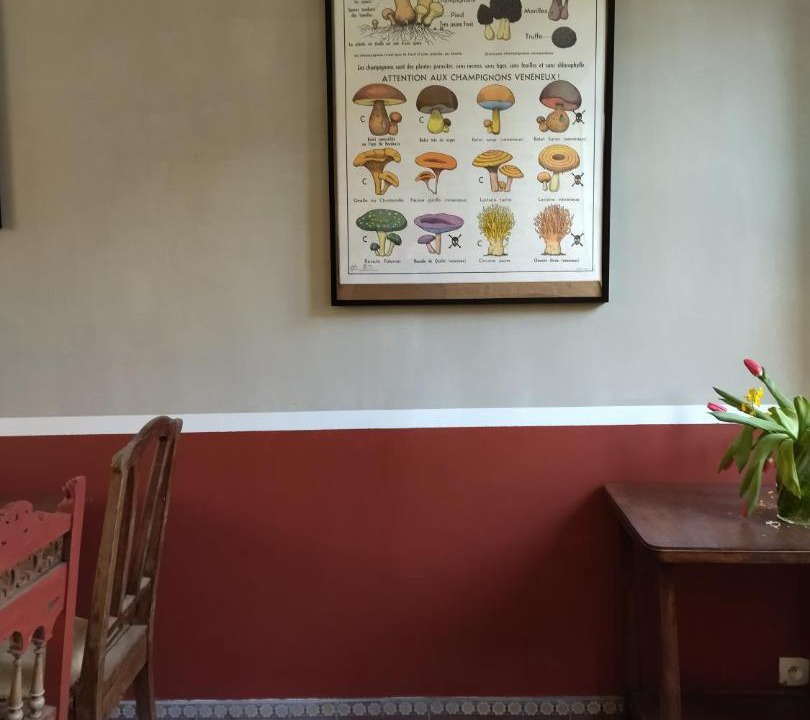 Photo of Others in Bergues