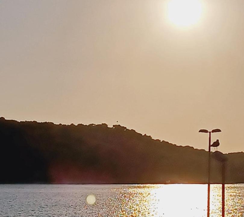 Photo of Others in Cove Murtar