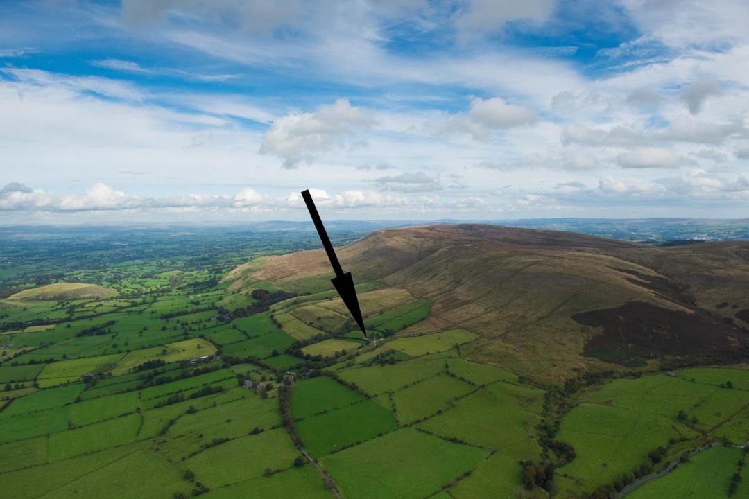 Photo of Others in Fence