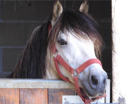 Photo of Others in Peyrat-le-Chateau