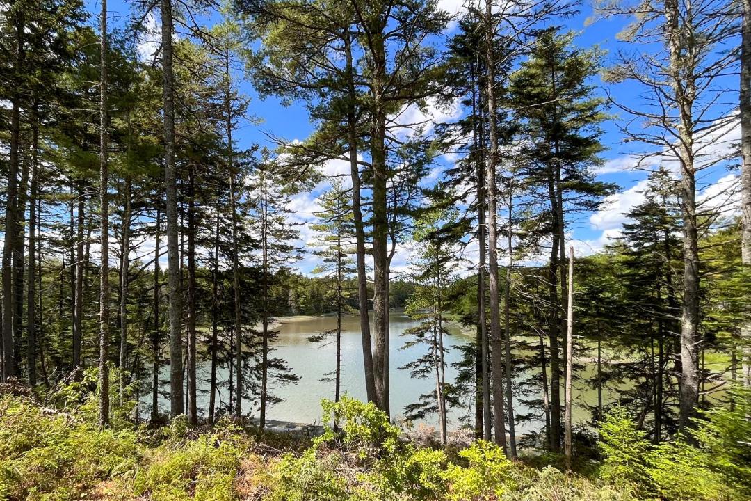 Photo of Others in Waldoboro