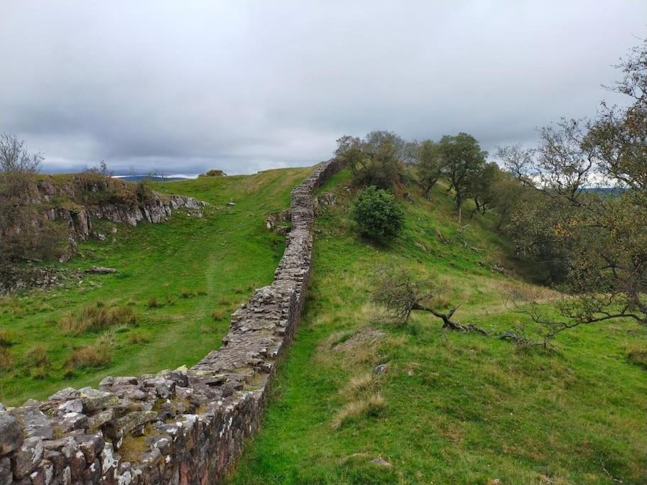 Photo of Others in Hexham