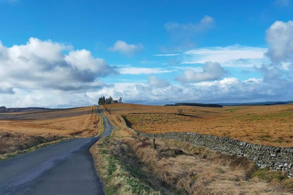 Photo of Others in Hexham