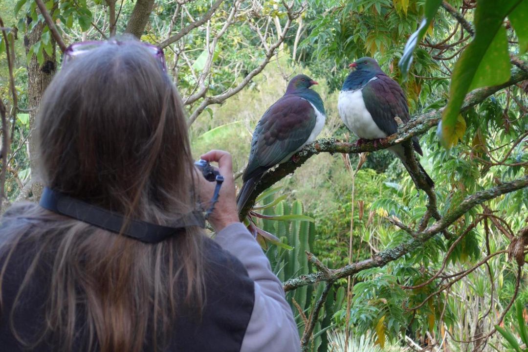 Photo of Others in Kerikeri